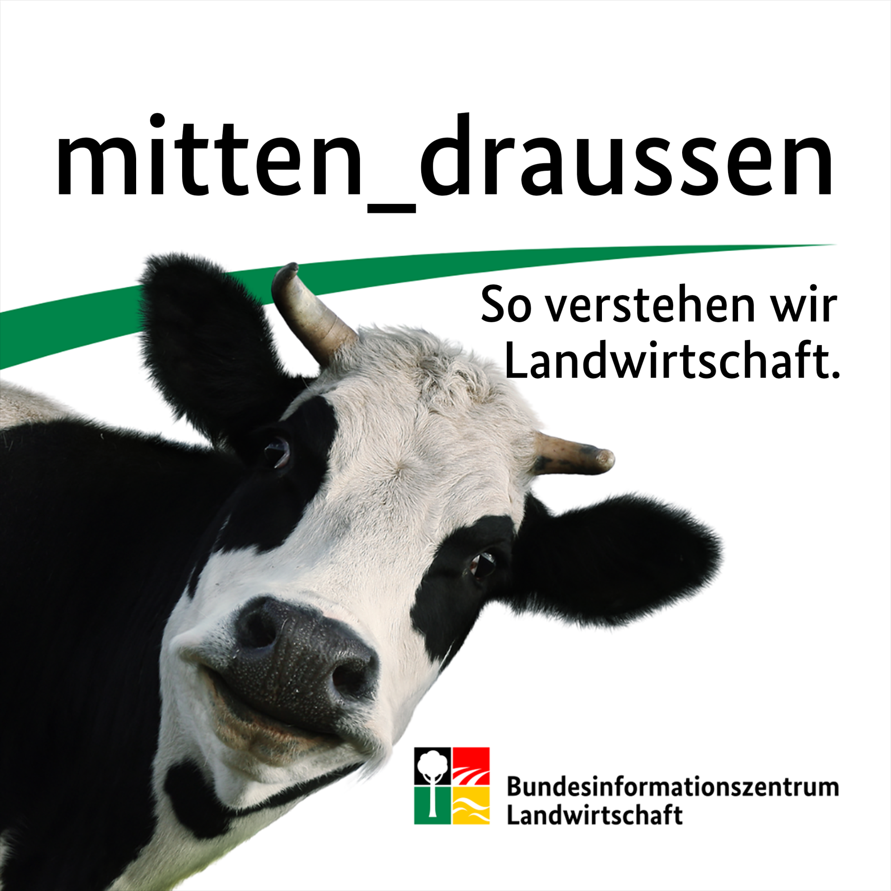 mitten_draussen